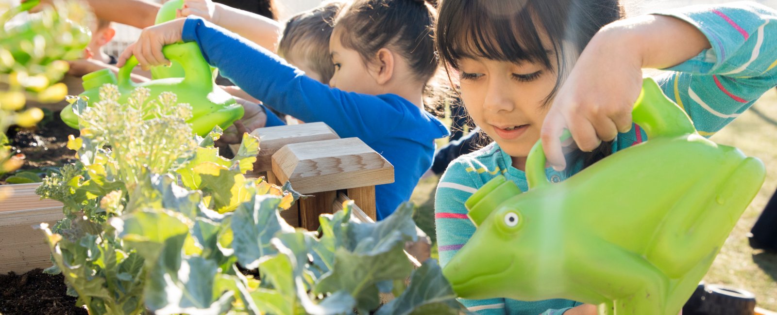 Children water greens as part of HonorHealth Desert Mission’s gardening education. 