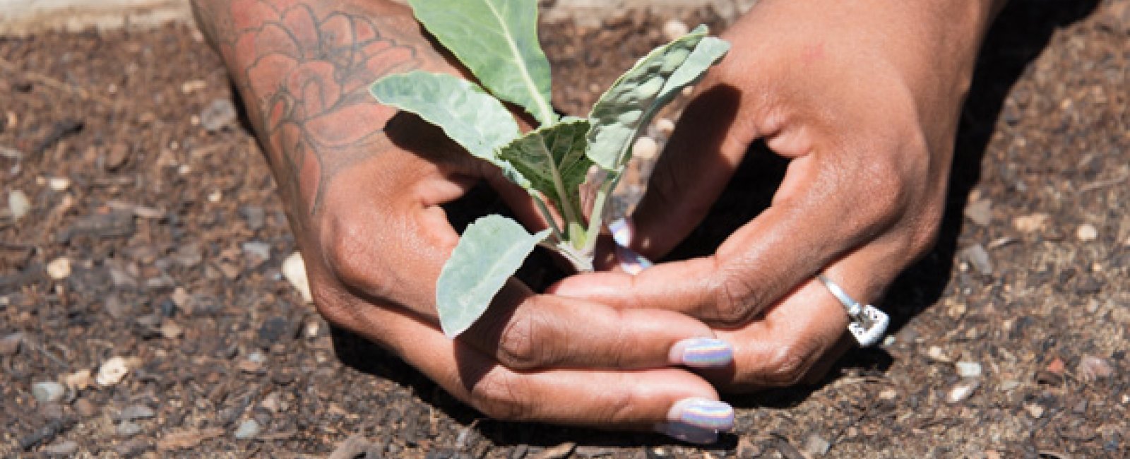 A Dig Deep Farms employee speaking about the challenges she has overcome and how her work with plants is like therapy. (Terry Lorant)