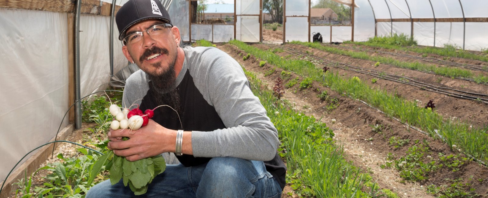 La cosecha farmer