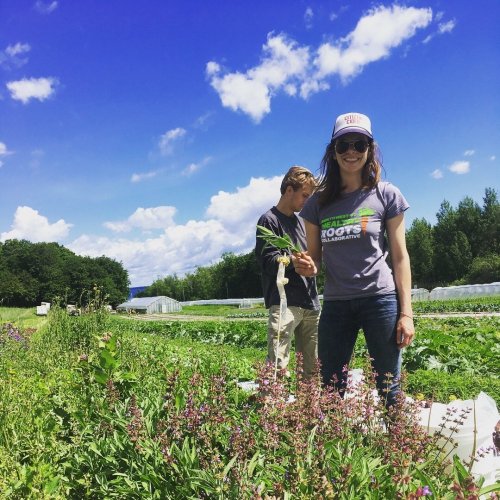 Adrienne harvesting sage as a part of the Healthy Roots Collaborative programming in rural Vermont (Northwestern Medical Center).