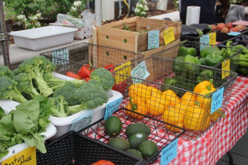 Montefiore Medical Center farmers market