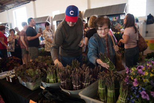 Farmers market shoppers