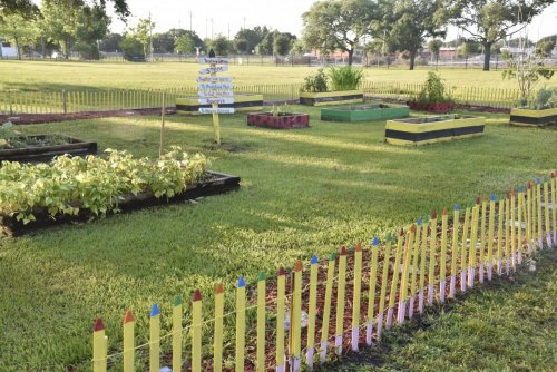 Orlando Health staff members volunteer at Orange Center Elementary School’s Healthy Living Garden  