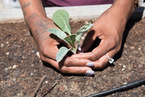 A Dig Deep Farms employee speaking about the challenges she has overcome and how her work with plants is like therapy. (Terry Lorant)