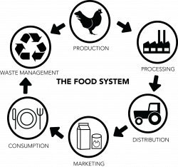 Food system map