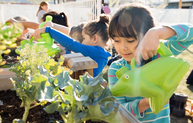 Children water greens as part of HonorHealth Desert Mission’s gardening education. 