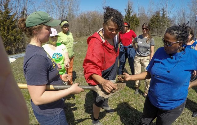 Checking the soil