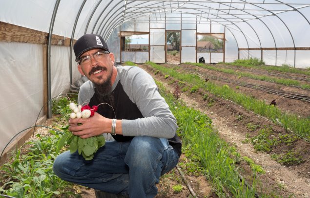 La cosecha farmer